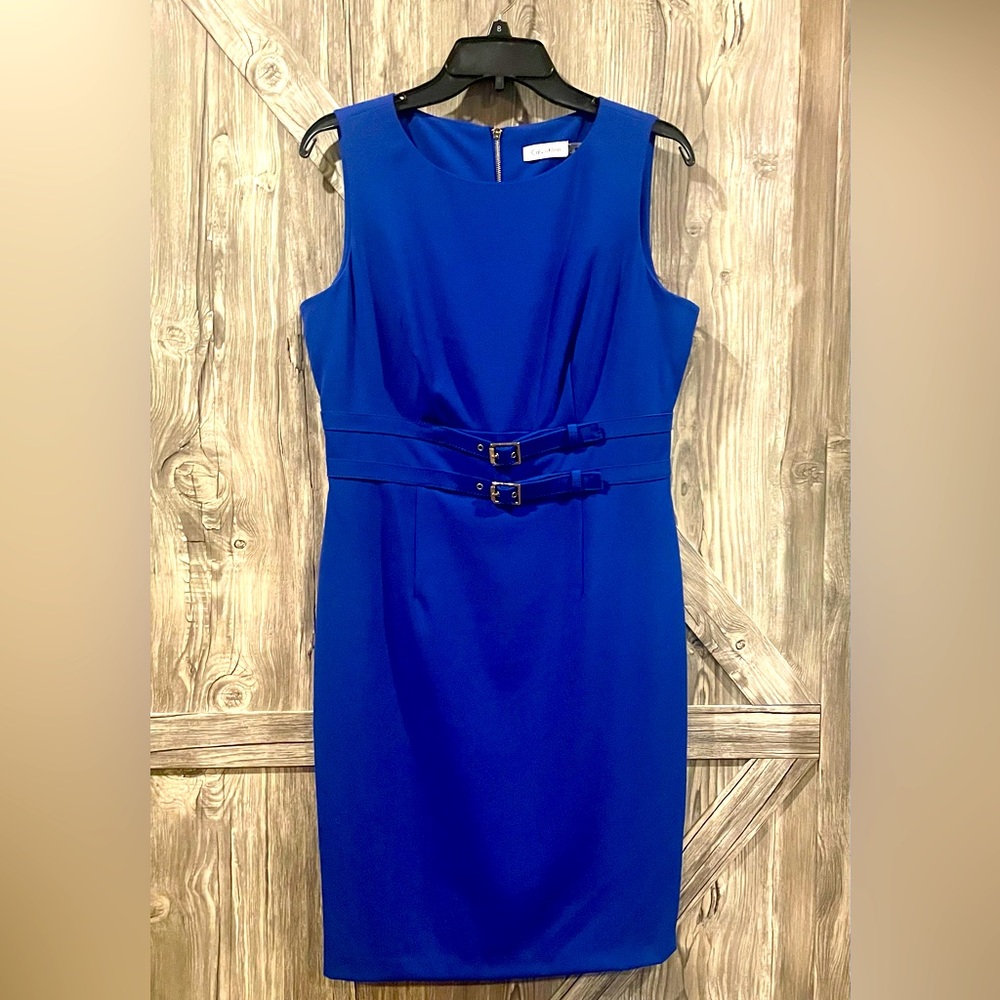 NWOT Calvin Klein 8 fully lined dress.Gold zipper, functional belts. Shapely.